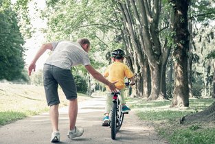 Program Warty dla województwa śląskiego