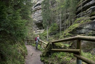 Mężczyzna spaceruje po skalnych miastach w Czechach