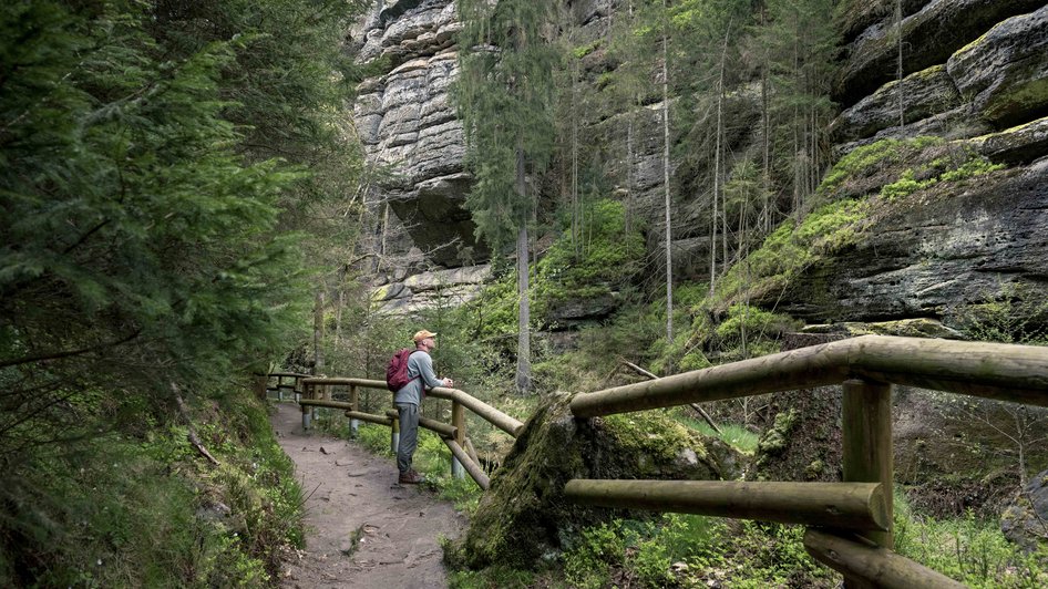 Mężczyzna spaceruje po skalnych miastach w Czechach