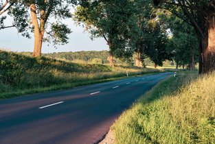 Droga publiczna gminna w Polsce wijąca się pomiędzy drzewami.