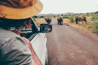 Mężczyzna na safari w RPA