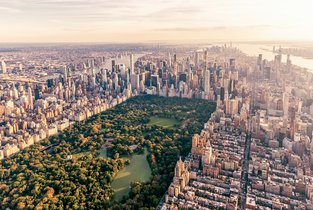 Central Park w USA 