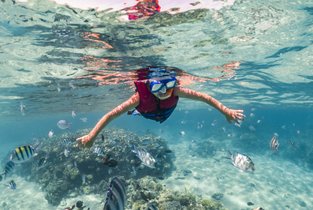 Dziecko nurkuje w Egipcie w krystalicznie czystej wodzie i obserwuje ryby oraz podwodną roślinność.