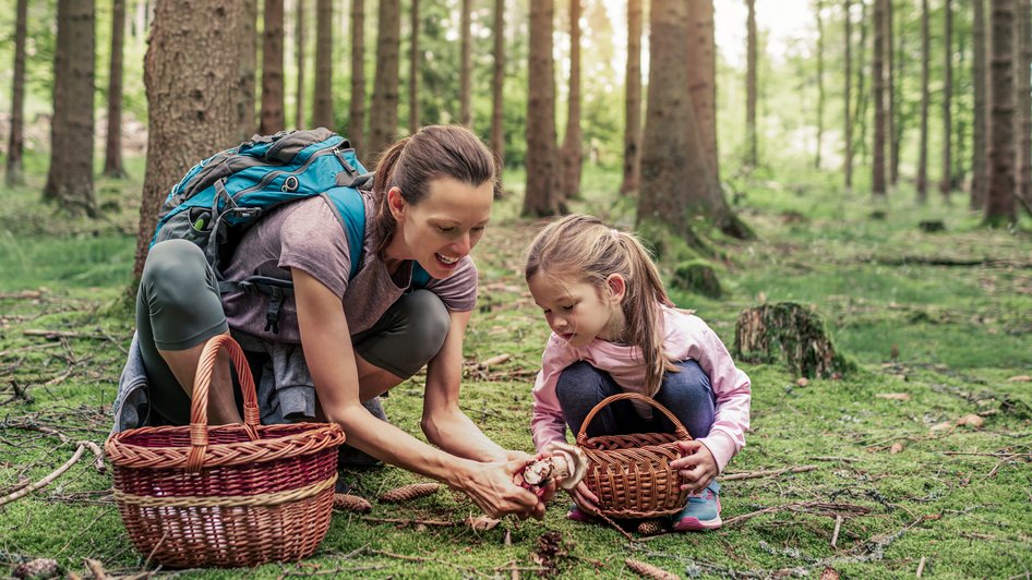 Mama z córką zbierają grzyby, które bardzo dobrze znają, więc nie obawiają się zatrucia grzybami.