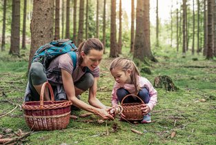 Mama z córką zbierają grzyby, które bardzo dobrze znają, więc nie obawiają się zatrucia grzybami.