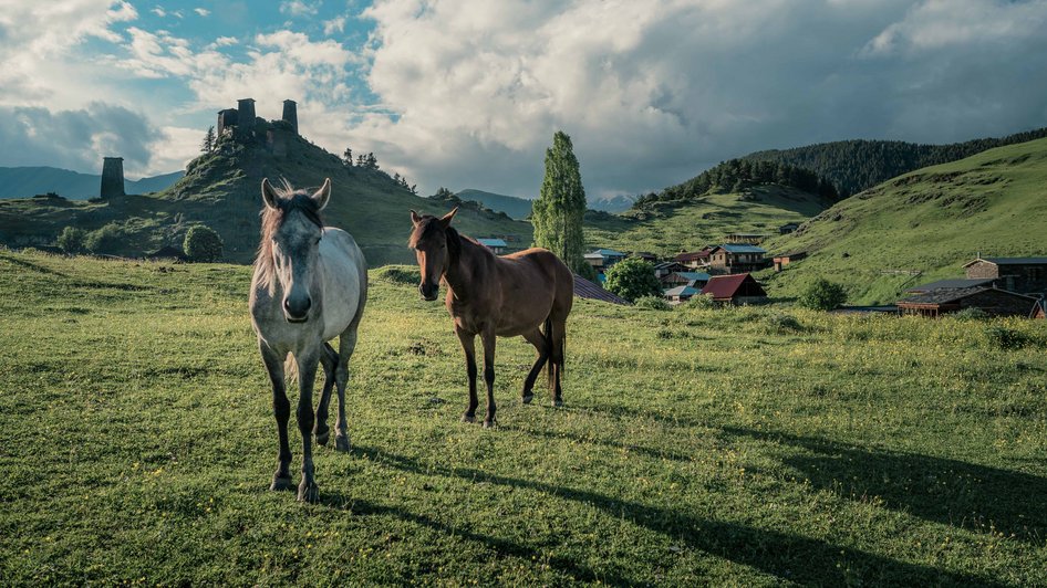 Widok na górskie tereny w Gruzji
