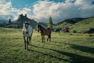 Widok na górskie tereny w Gruzji
