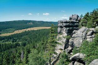 Błędne Skały – skalne miasto w Polsce Widok na Błędne Skały