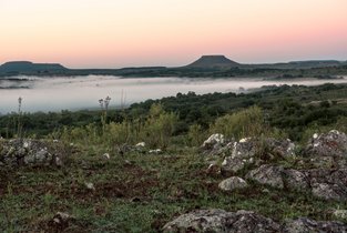 Zielone wzgórza i wiejski krajobraz regionu Tacuarembó w Urugwaju