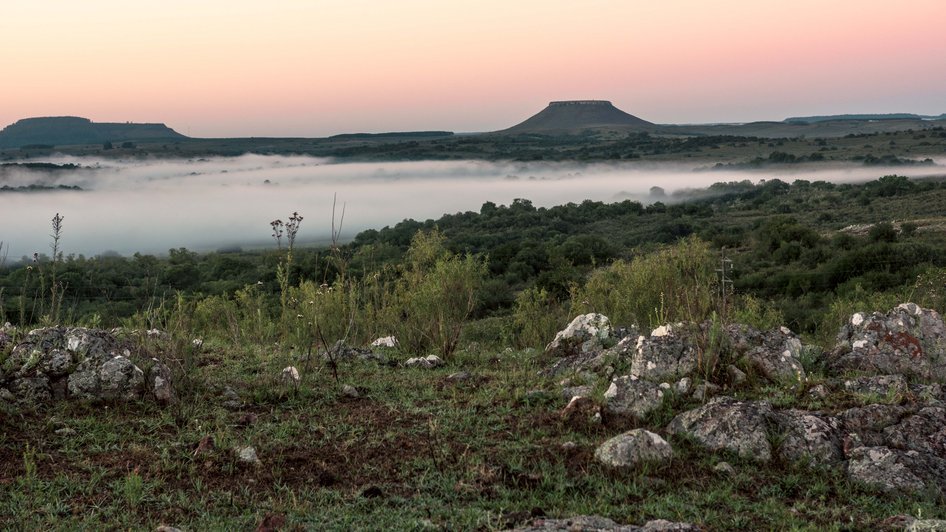 Zielone wzgórza i wiejski krajobraz regionu Tacuarembó w Urugwaju