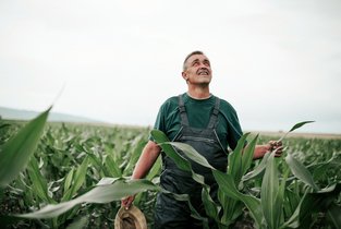 Jak ochronić uprawy przed burzą? 