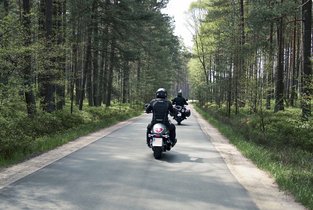 Dwie osoby jadą na motorach przez las i mają zamontowane małe tablice rejestracyjne