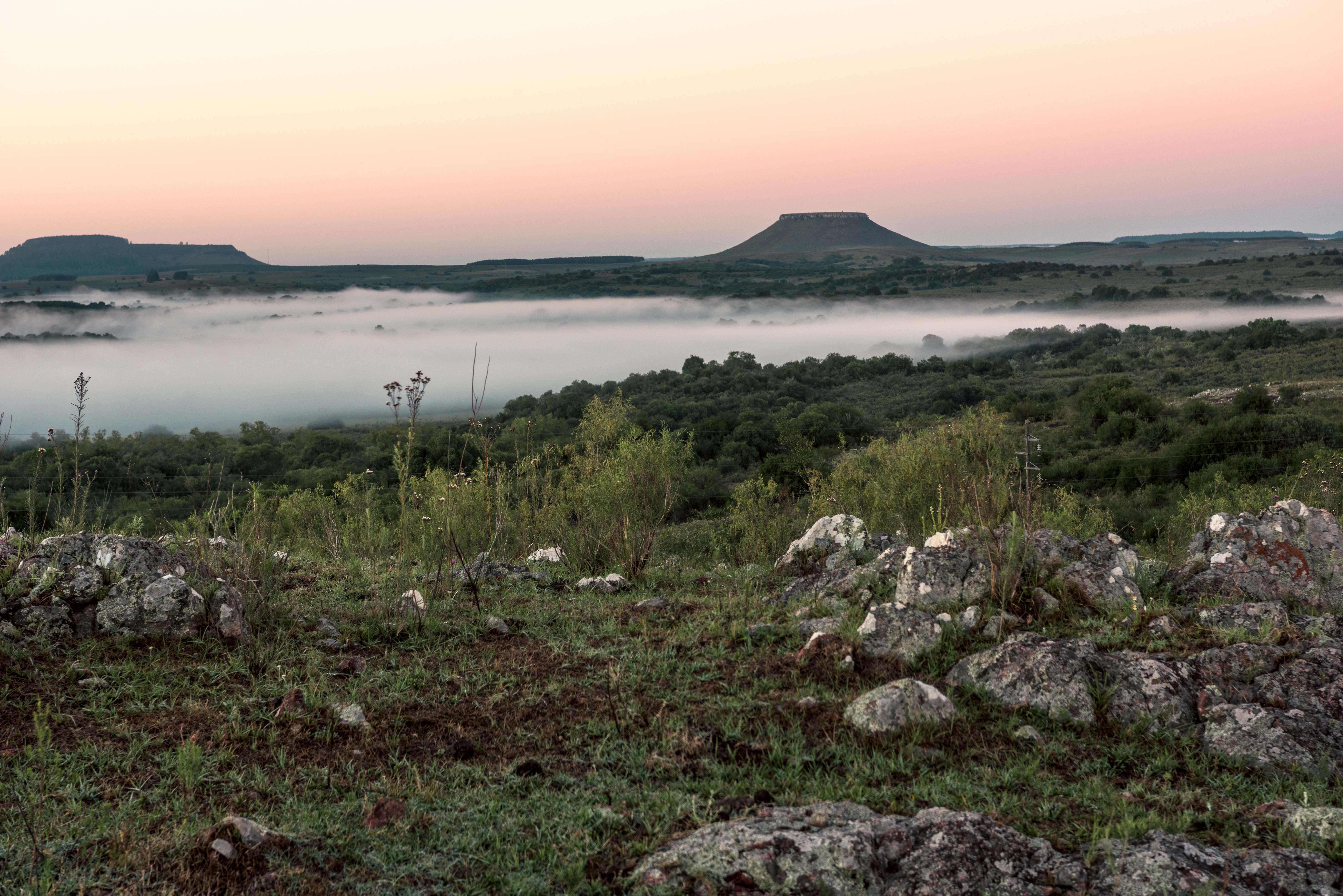 Zielone wzgórza i wiejski krajobraz regionu Tacuarembó w Urugwaju