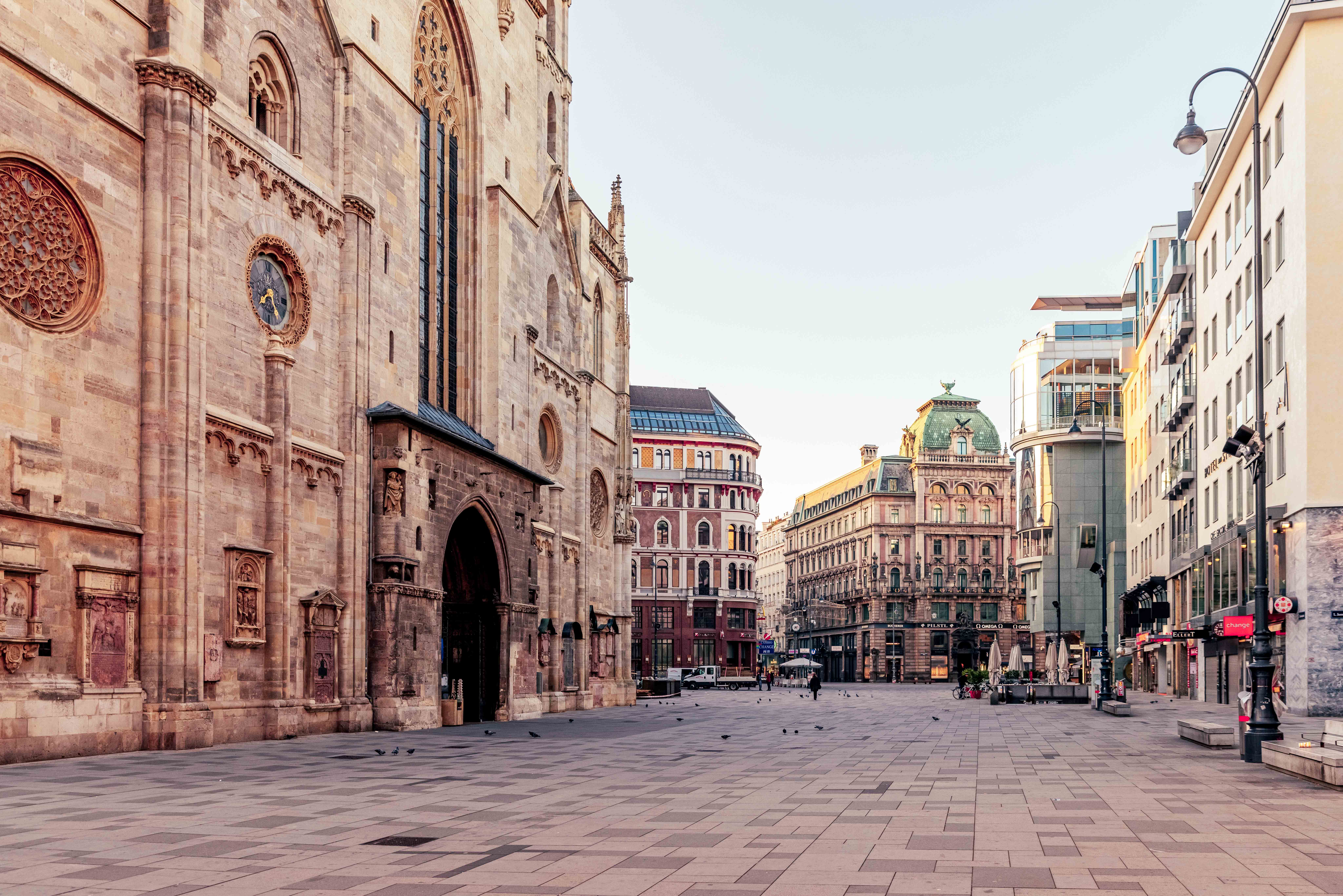 Katedra św. Szczepana w Wiedniu