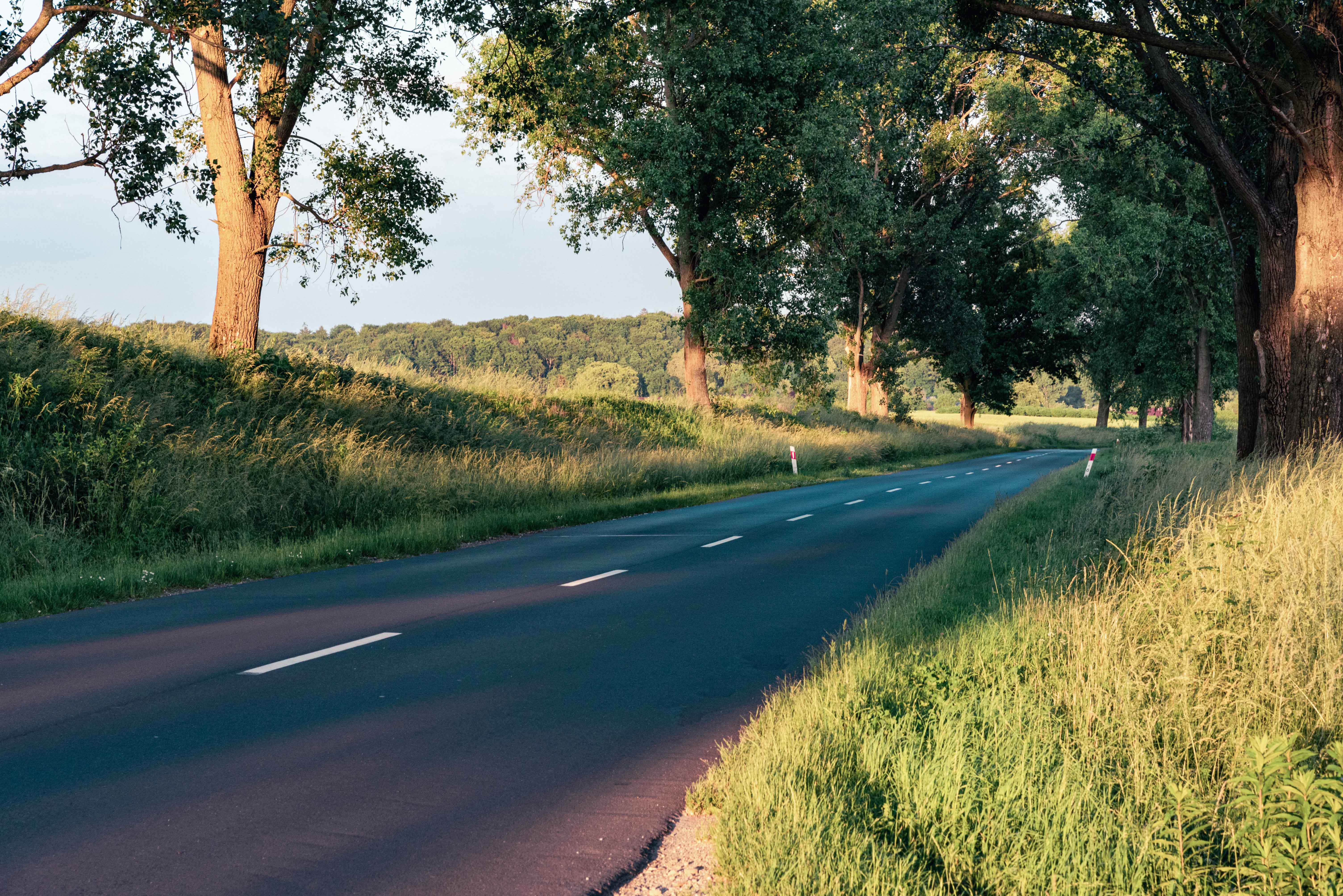 Droga publiczna gminna w Polsce wijąca się pomiędzy drzewami.