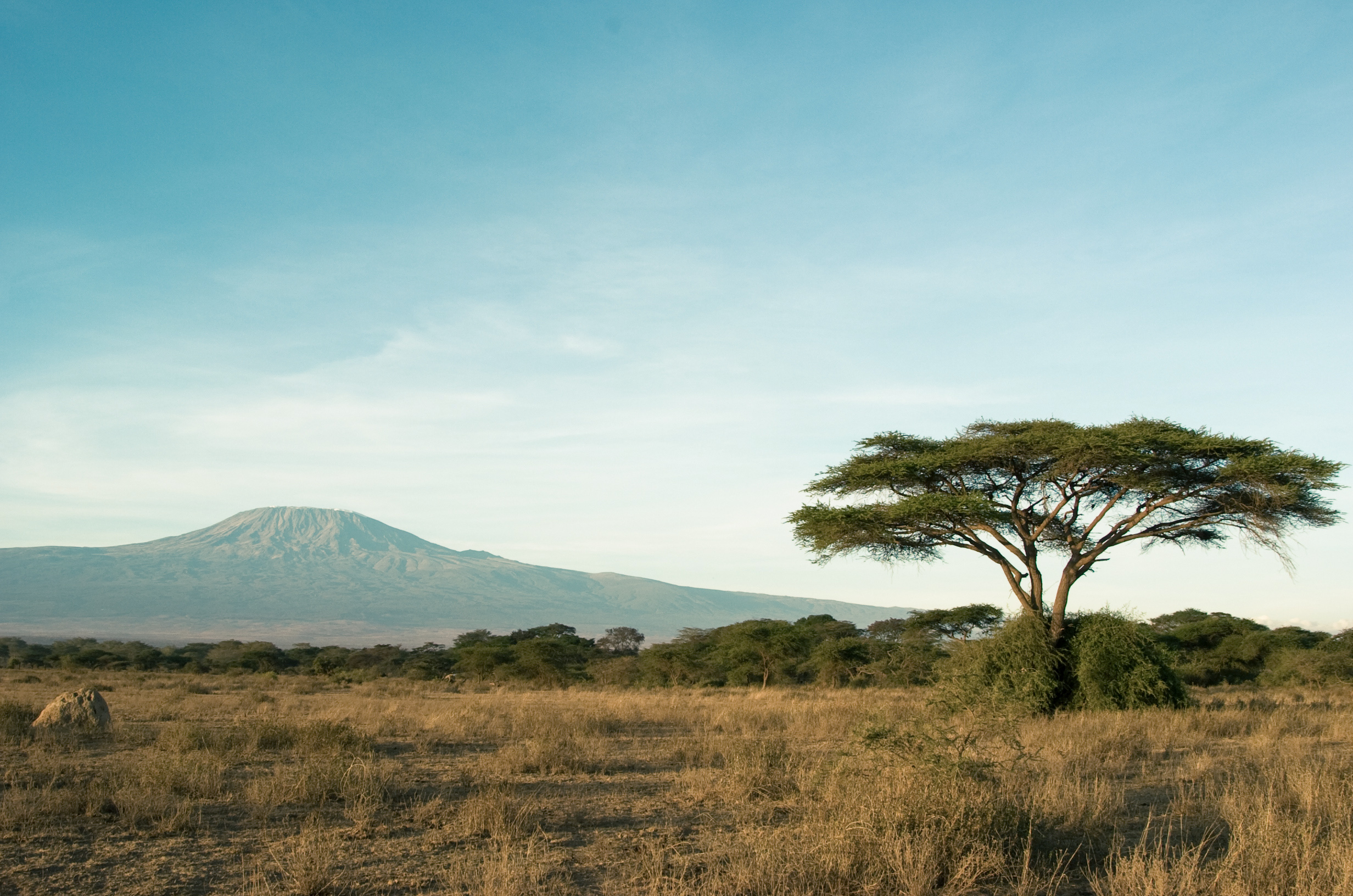 Urlop w Kenii - Ubezpieczenie turystyczne Góra Kilimanjaro widziana z zielonej sawanny w Kenii