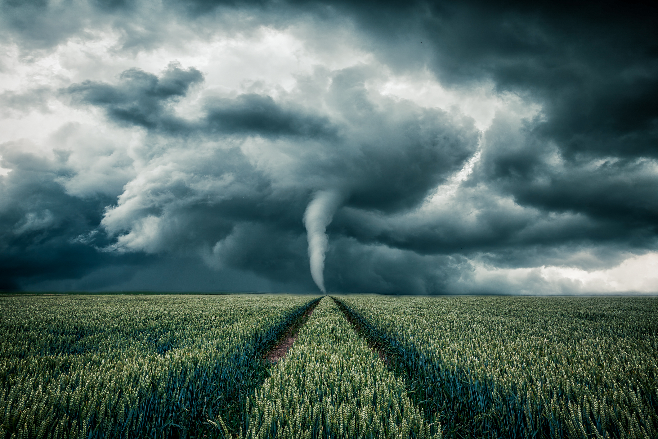 Tornado na polu powodujące szkody pogodowe w domach ubezpieczonych w Warcie 