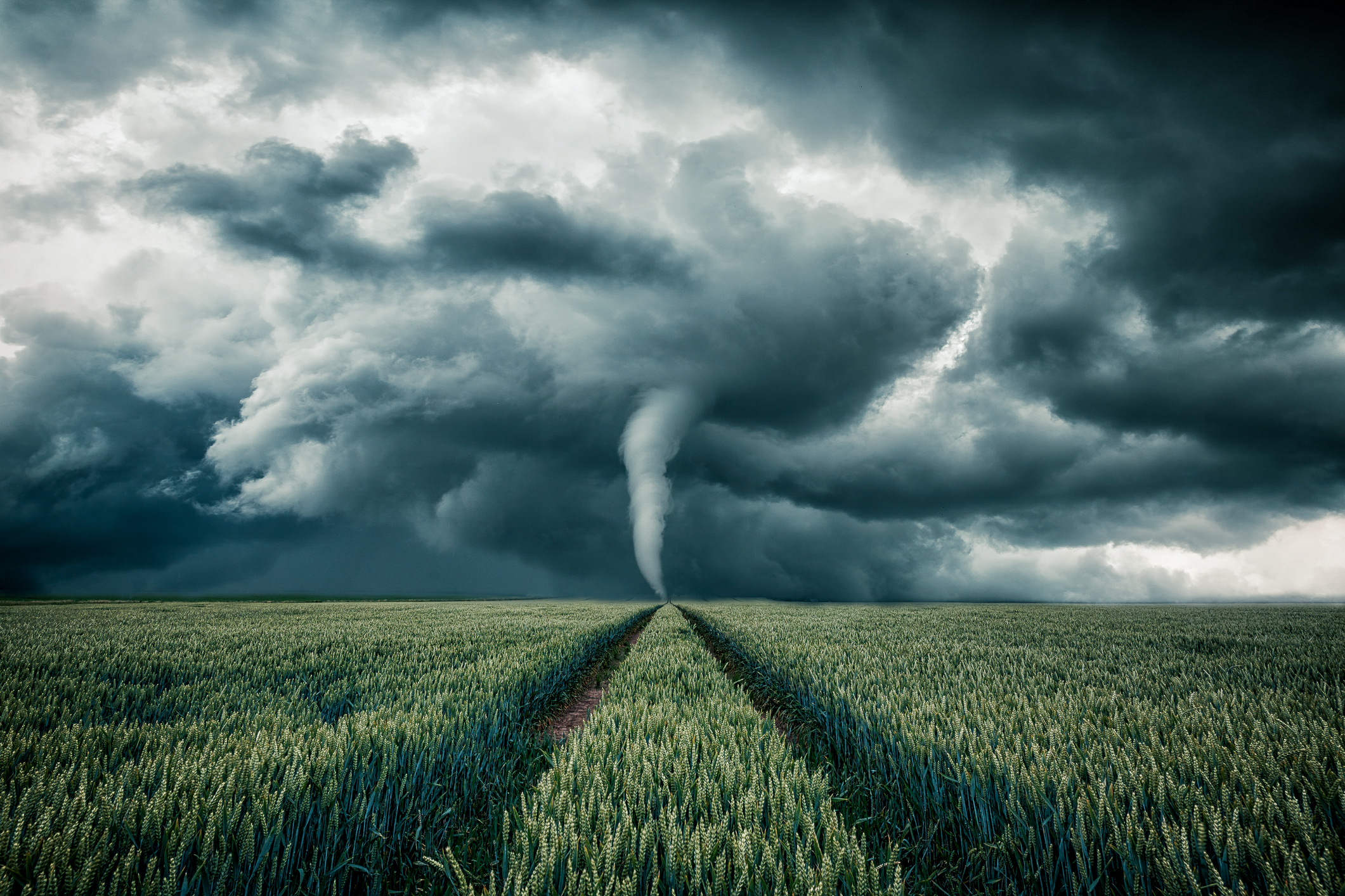 Ubezpieczenie Warta Dom Komfort - tornado Tornado na polu powodujące szkody pogodowe w domach ubezpieczonych w Warcie