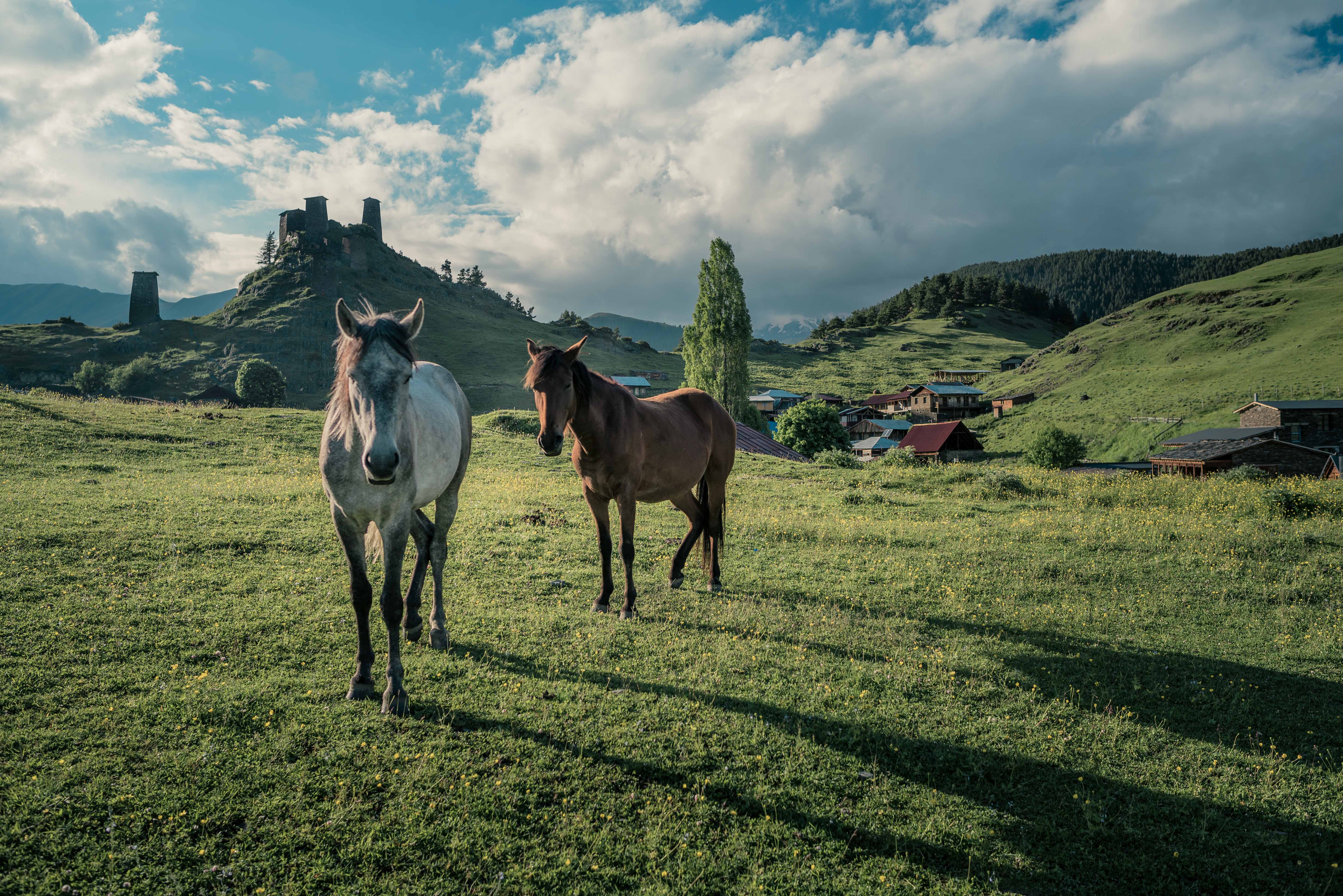 Widok na górskie tereny w Gruzji