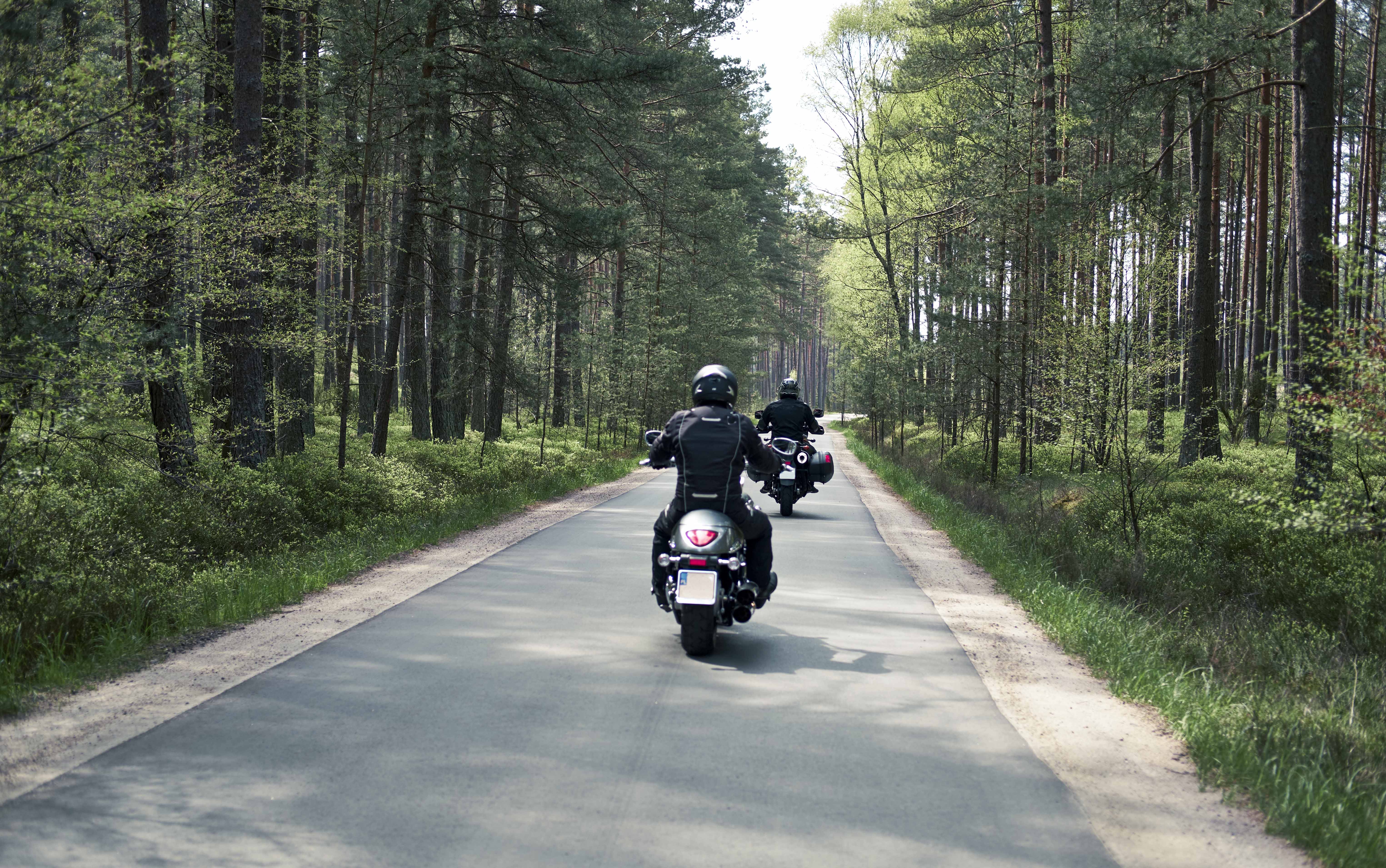 Dwie osoby jadą na motorach przez las i mają zamontowane małe tablice rejestracyjne